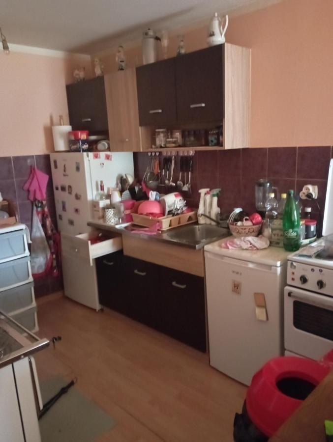 Rooms Apartment Durmitor 자블야크 외부 사진