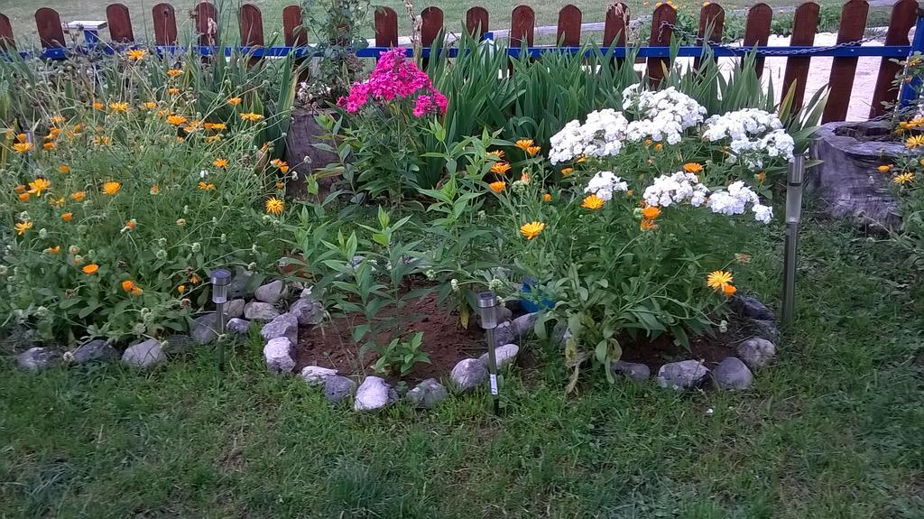 Rooms Apartment Durmitor 자블야크 외부 사진
