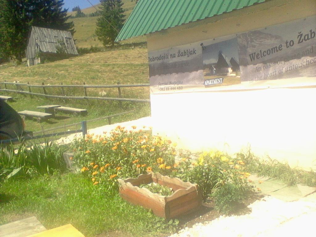 Rooms Apartment Durmitor 자블야크 외부 사진